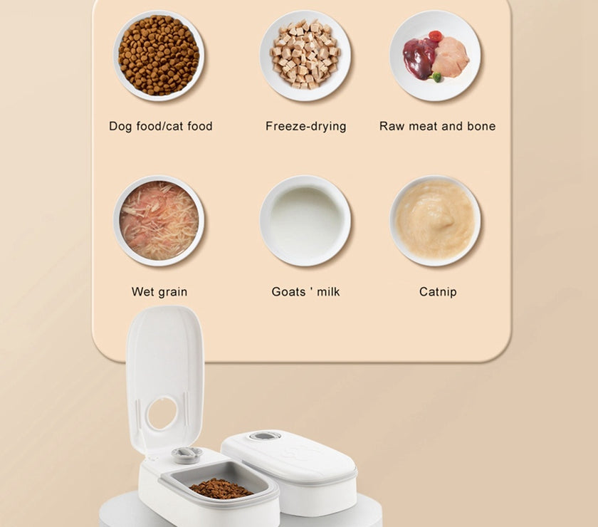 Automatic Pet Feeder Smart Food Dispenser For Cats Dogs Timer Stainless Steel Bowl Auto Dog Cat Pet Feeding Pets Supplies